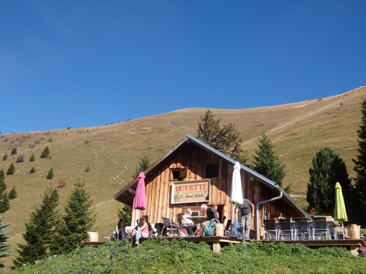 Au Coeur Des Alpes Bed & Breakfast Marignier Exterior foto
